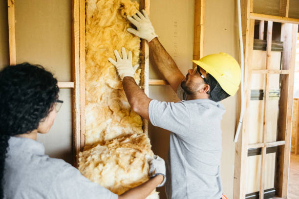 Best Blown-In Insulation  in White Sulphur Springs, MT